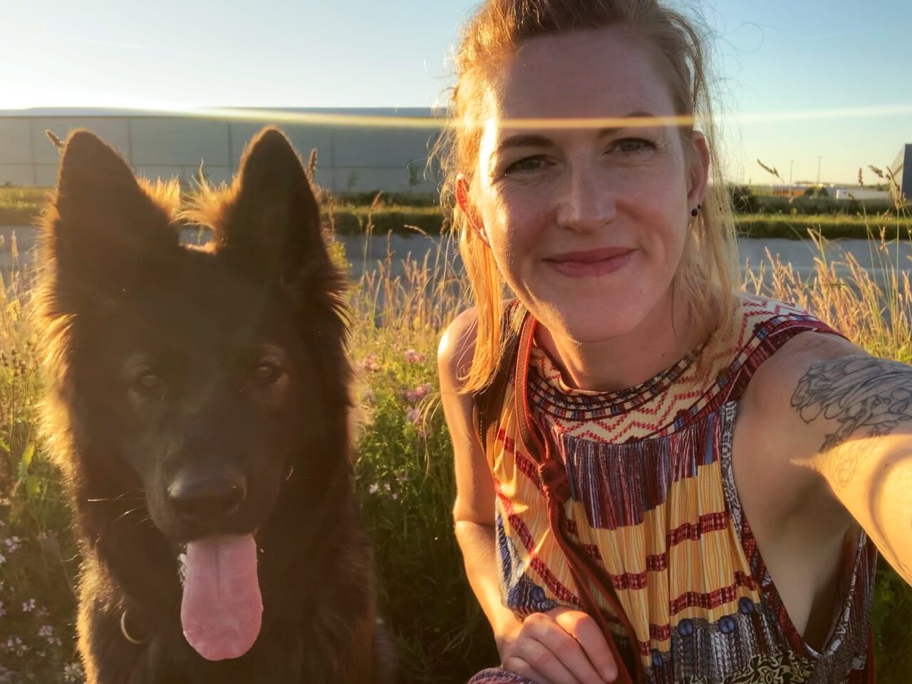 ganzheitliche Tiergesundheit Rebekka Bartel, Akupunktur, Hundeernährung, Vitalpilzberatung und Mykotherapie, Tierkommunikation