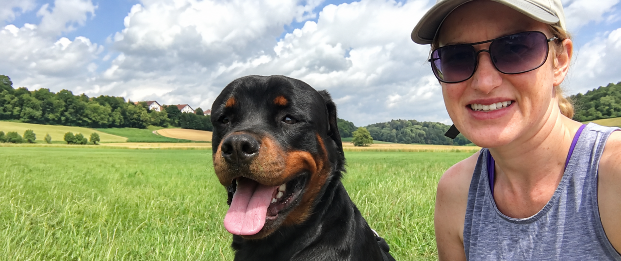 Bild von Rottweiler Gandhi und Rebekka auf einer Wiese